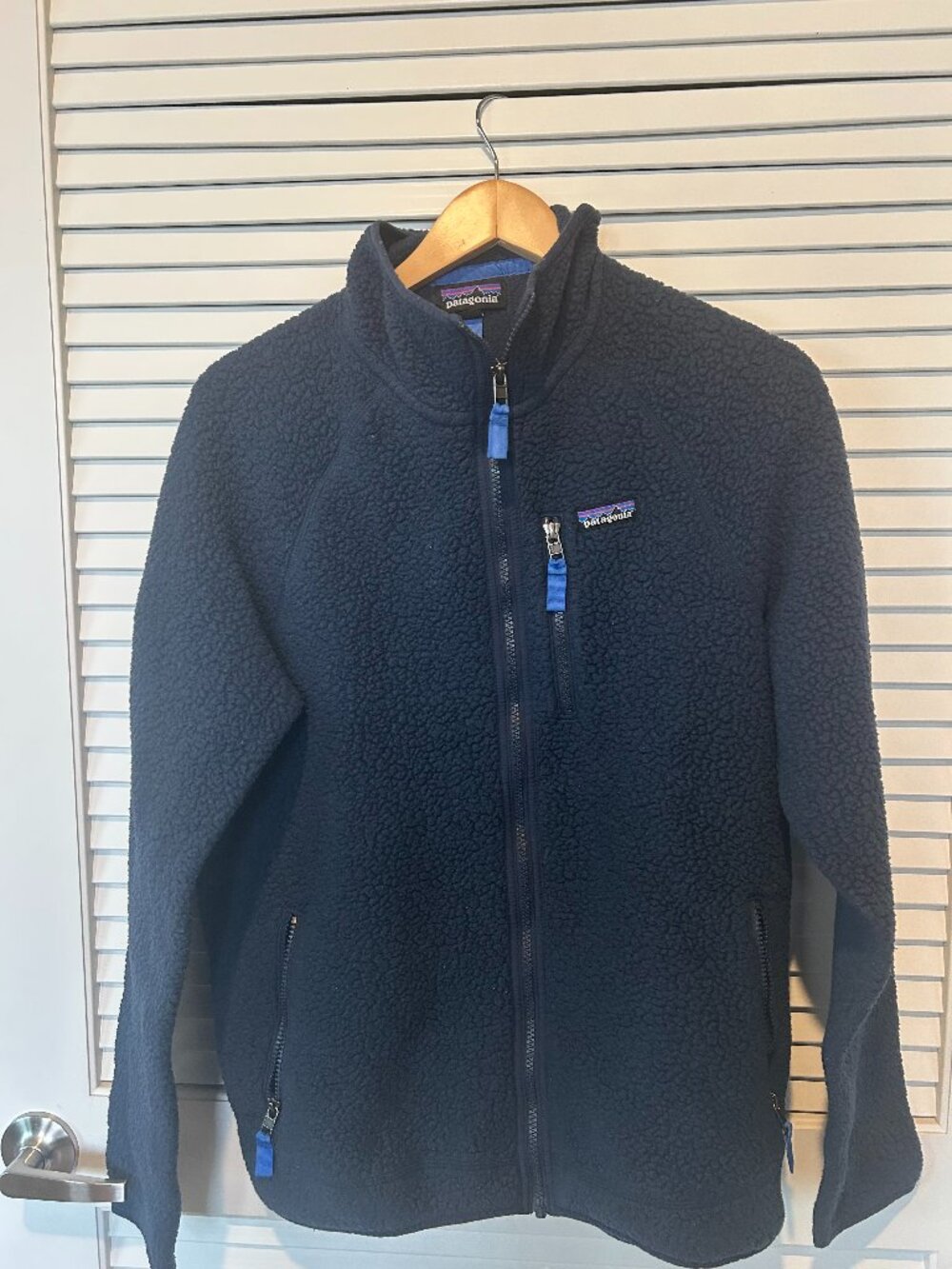 Patagonia Men's Retro Pile Fleece Jacket